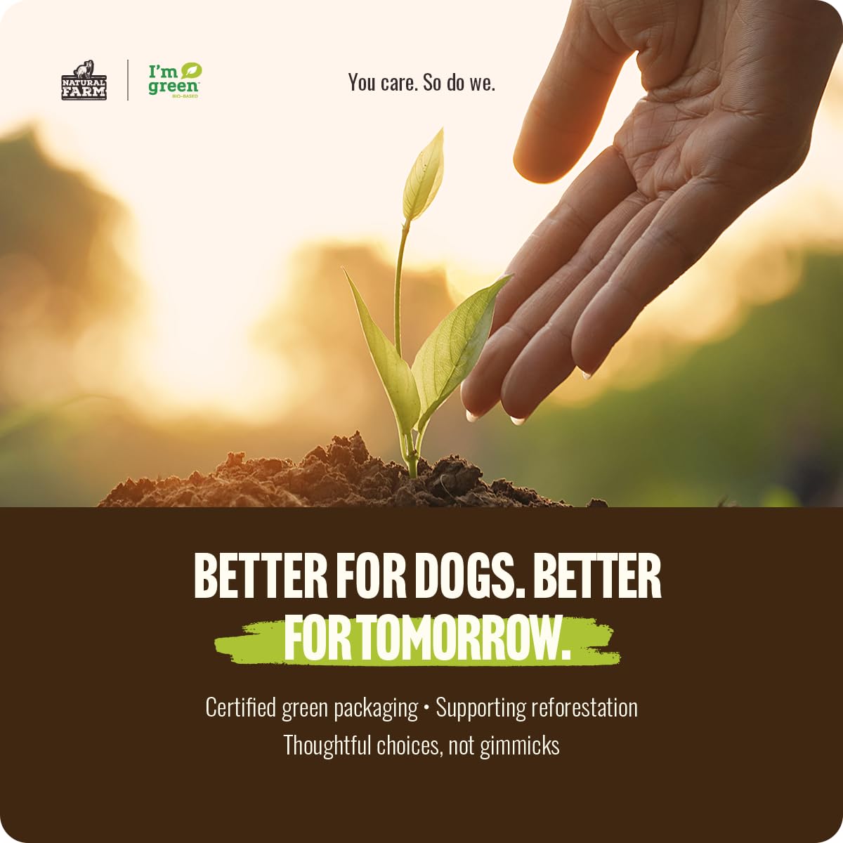 Natural Farm masticables-pizzle-res perro-disfrutando-en-casa, momento de confort.