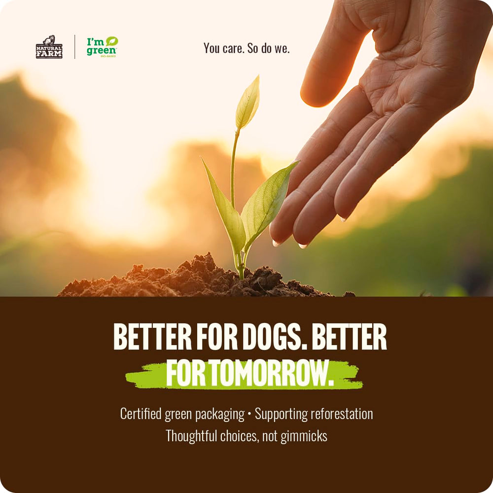 Natural Farm masticables-pizzle-res perro-disfrutando-en-casa, momento de confort.