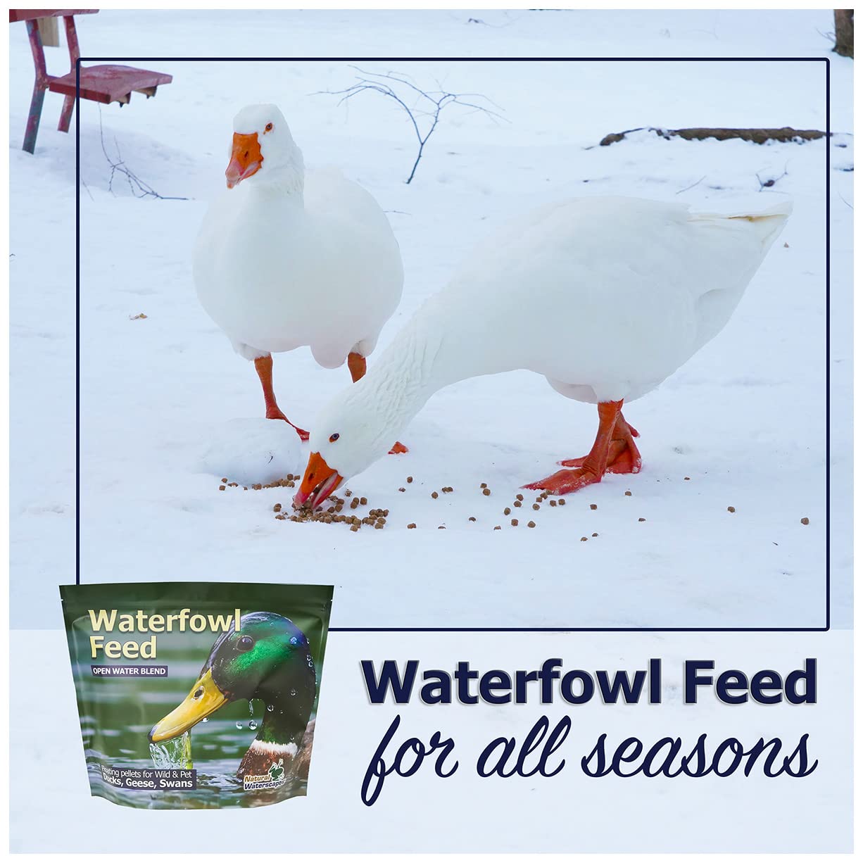 Equilibrio entre fibra y proteína en el alimento de Natural Waterscapes para aves acuáticas.