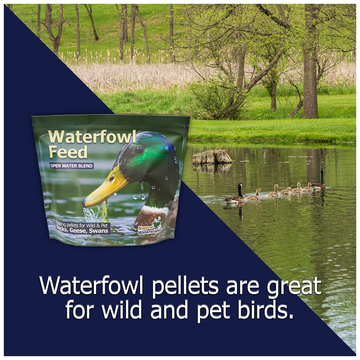 Harina de pescado en el alimento Natural Waterscapes para aves acuáticas ofrece proteína de calidad.