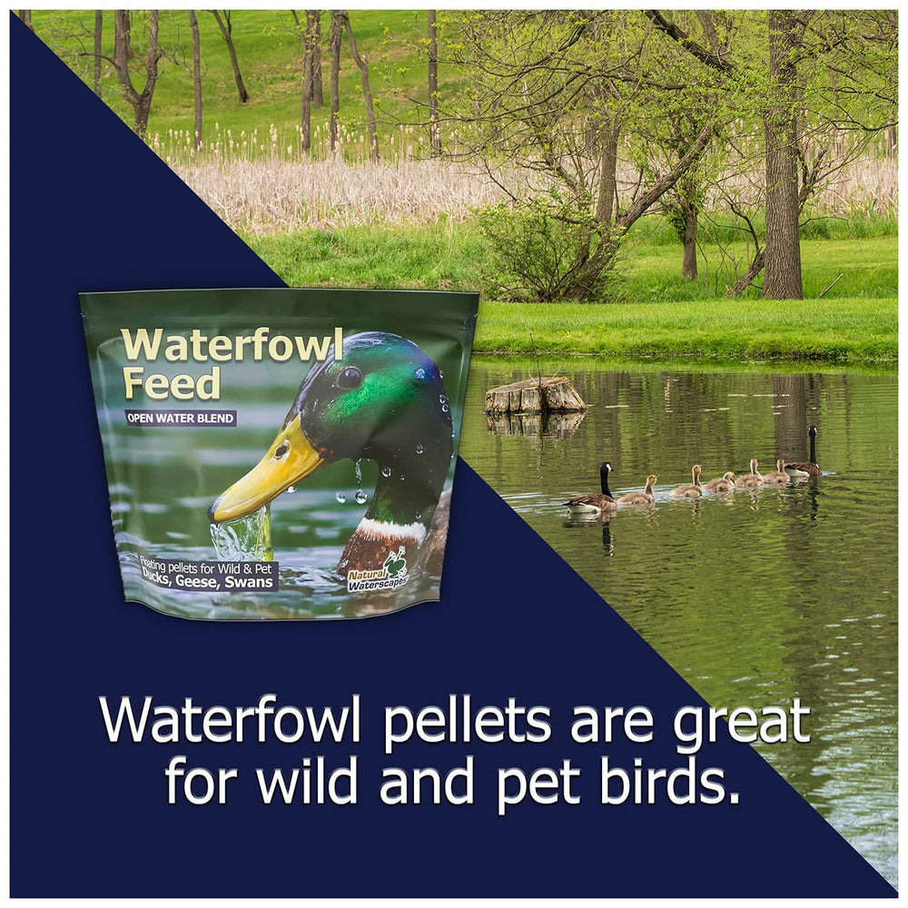 Harina de pescado en el alimento Natural Waterscapes para aves acuáticas ofrece proteína de calidad.