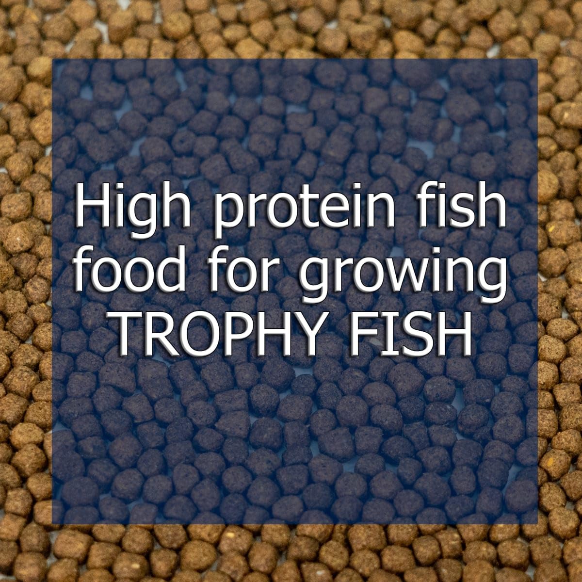 Natural Waterscapes alimento para pesca recreativa en lagunas y estanques.