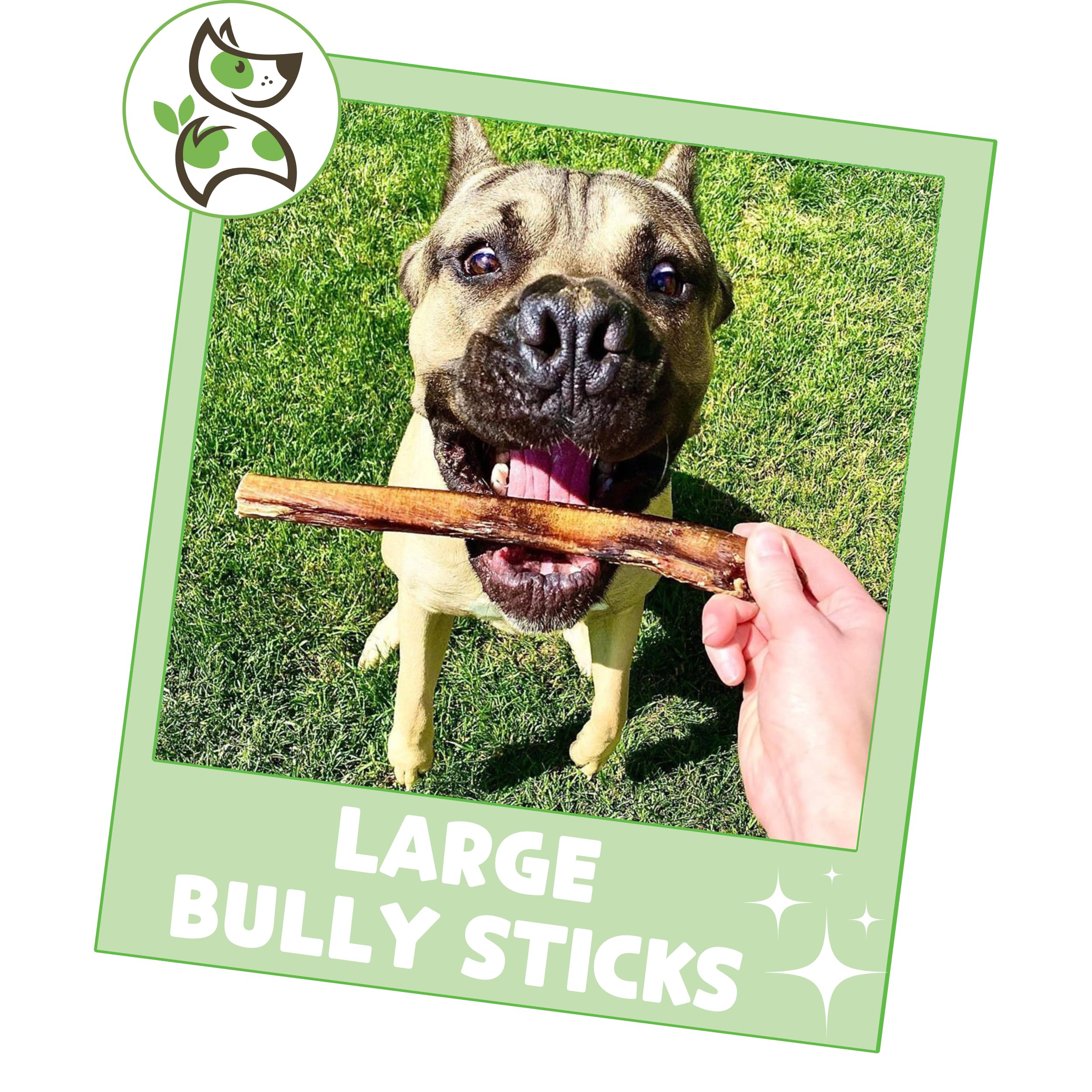 Nature Gnaws palitos-sin-cereales-sin-gluten, alternativa natural para perros sensibles.
