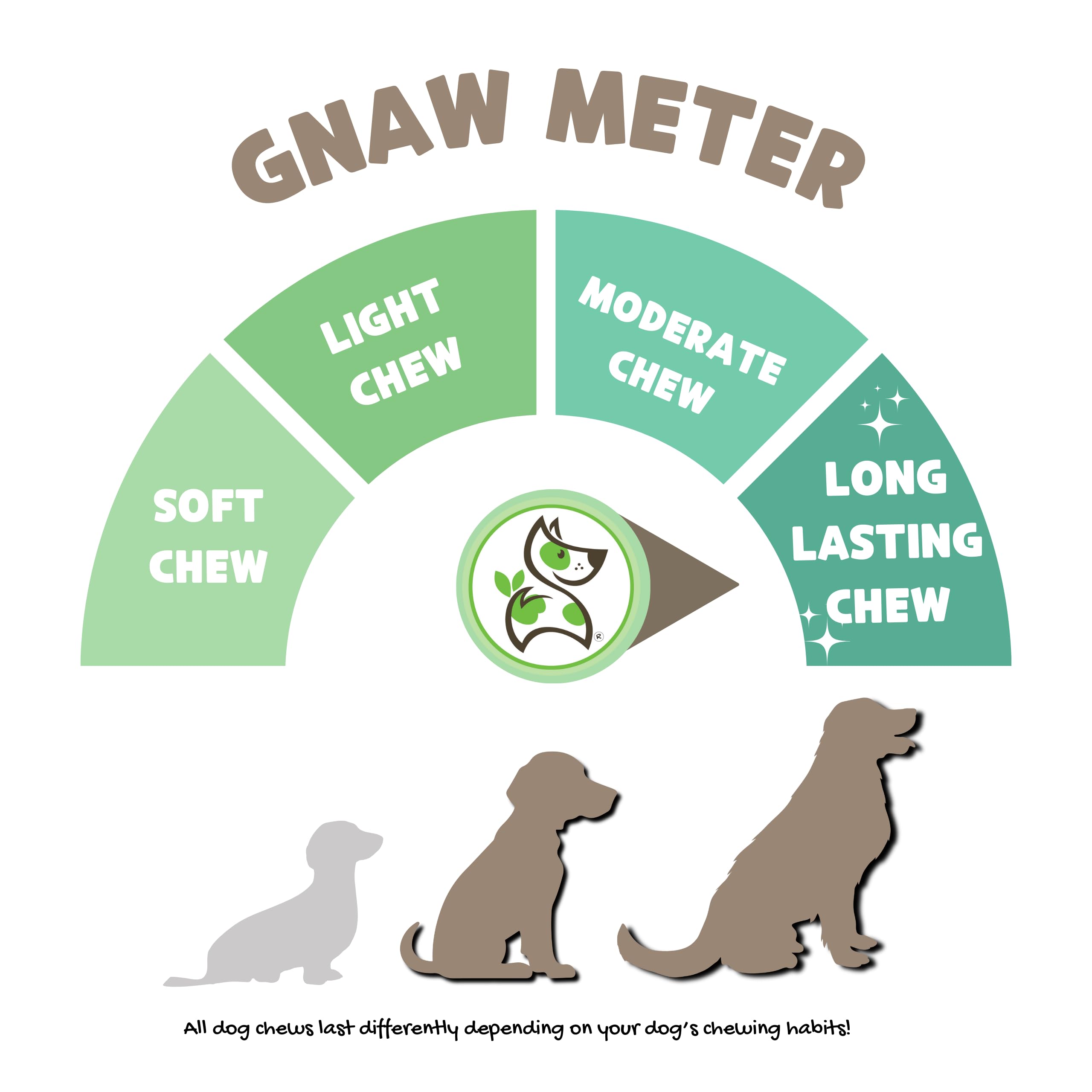 Nature Gnaws perro masticando palito de res, entretenimiento seguro para perros activos.