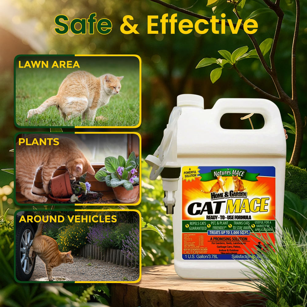 Nature's MACE Cat Mace Deterrent: uso en interiores para muebles y superficies visibles.