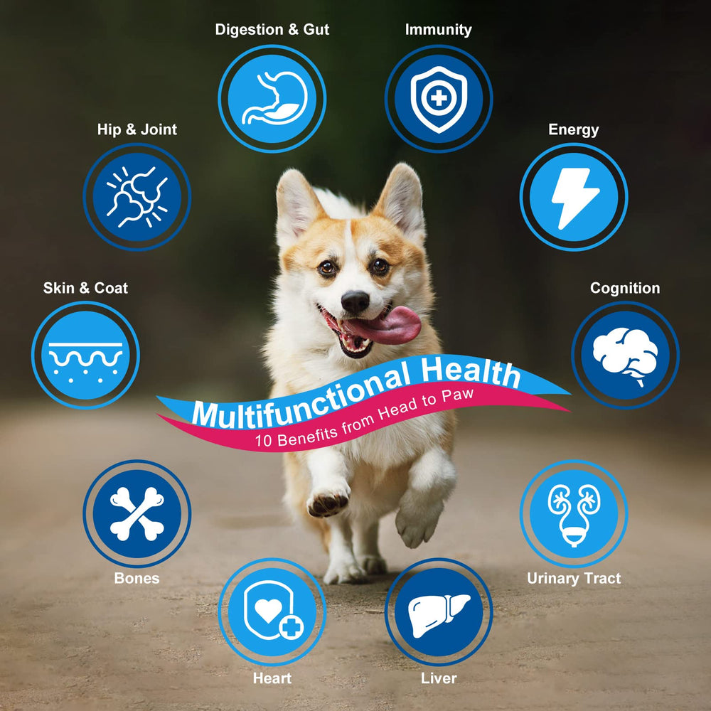 Nature Target enzimas digestivas para perros, ayuda a la digestión y absorción de nutrientes.