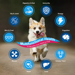 Nature Target enzimas digestivas para perros, ayuda a la digestión y absorción de nutrientes.