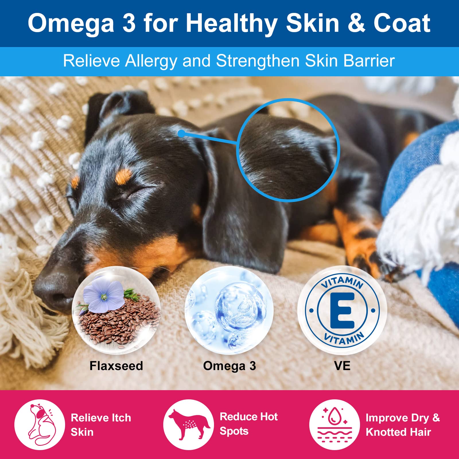 Nature Target mezcla para comida casera de perros, mejora sabor y nutrición.