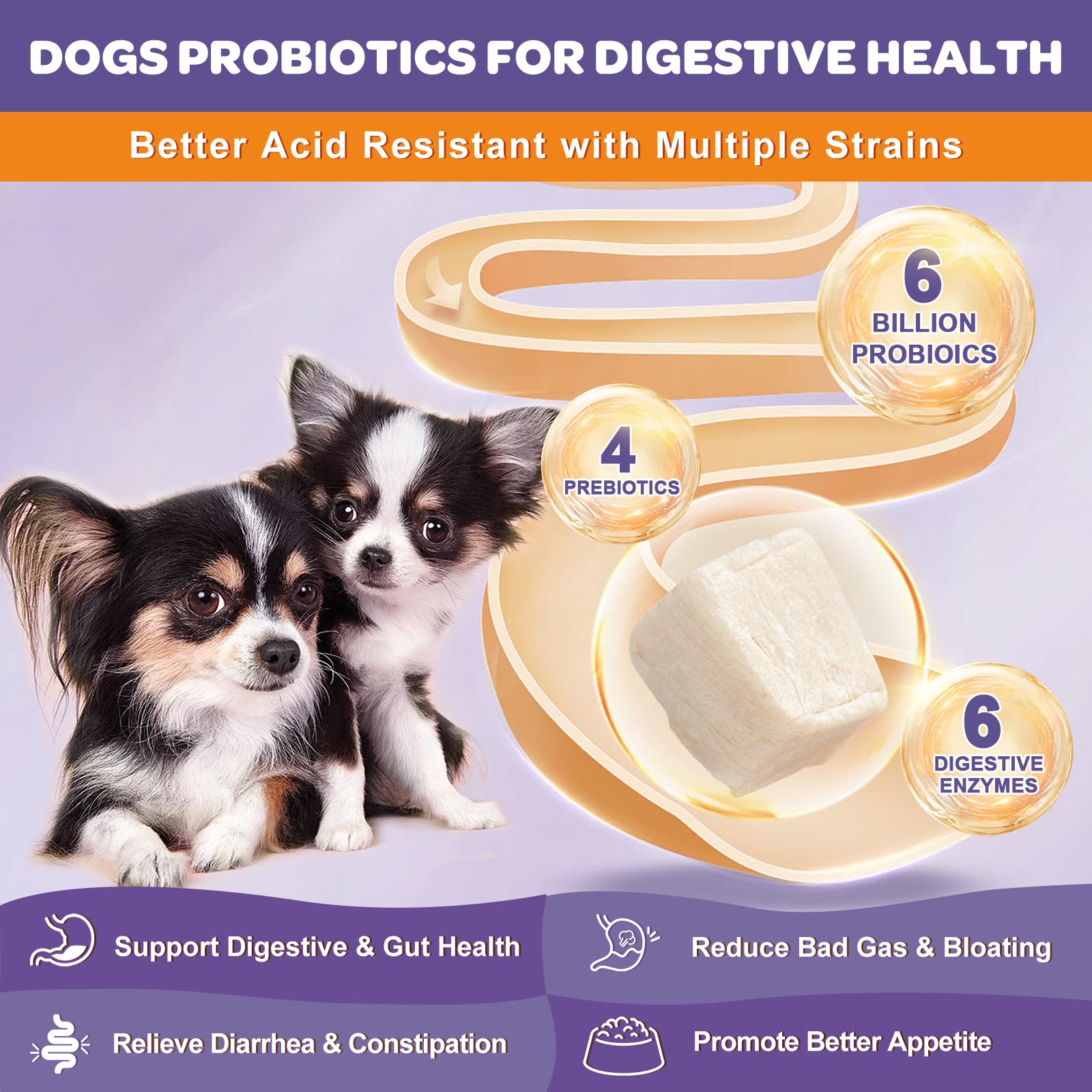 NATURE TARGET Probióticos para perros: envase hermético protege ingredientes activos durante el uso diario