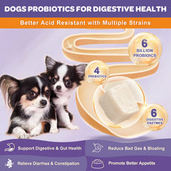NATURE TARGET Probióticos para perros: envase hermético protege ingredientes activos durante el uso diario