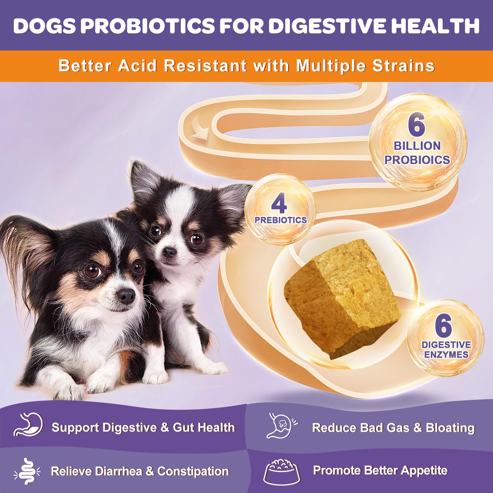 NATURE TARGET probióticos para perros: digestión equilibrada con prebióticos y enzimas.
