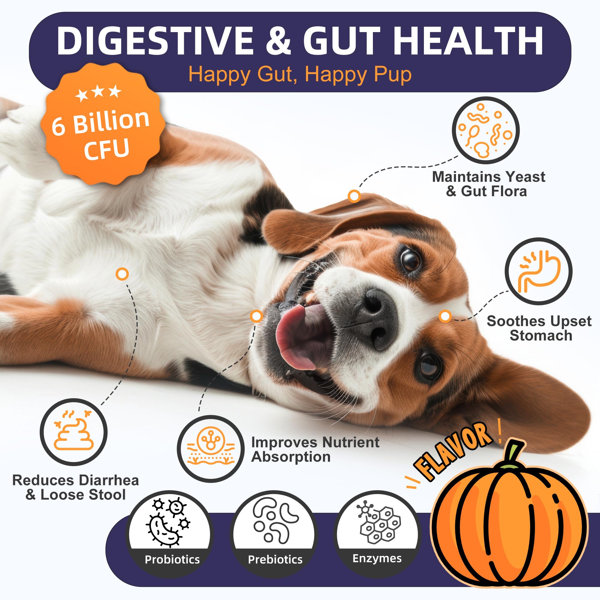 Nature Target Probiotics para perros, etiqueta clara con ingredientes y beneficios.