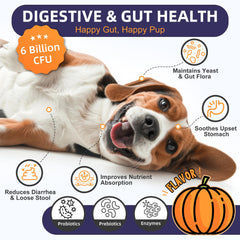 Nature Target Probiotics para perros, etiqueta clara con ingredientes y beneficios.