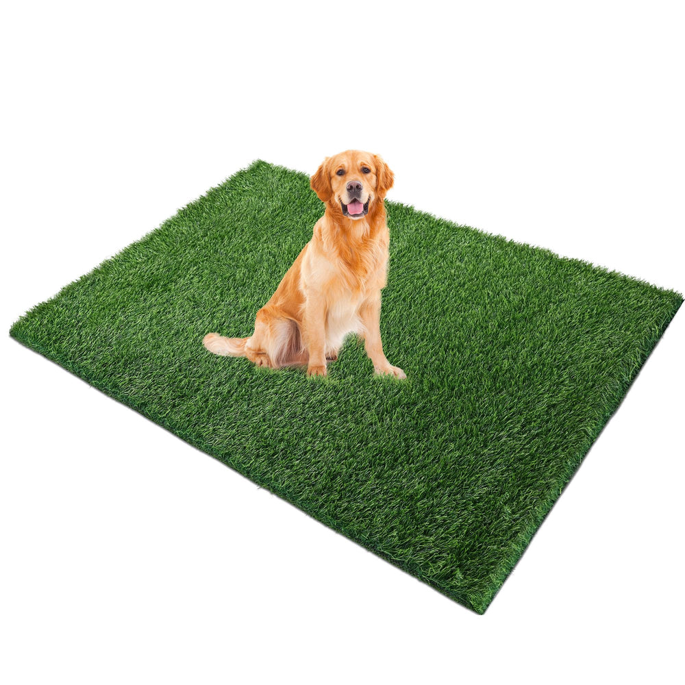 Naturei alfombra de césped artificial para perros 48x36, ideal para entrenamiento cómodo