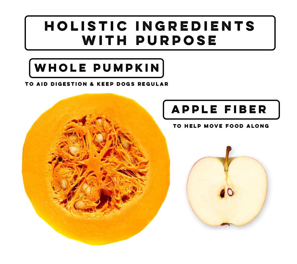 Nature's Diet polvo de calabaza mezclado con agua para puré suave para perros.