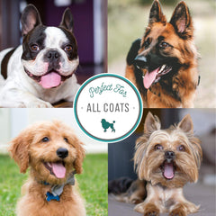 Nature's Specialties Champú Neem con base suave, aloe vera y panthenol para el pelaje.