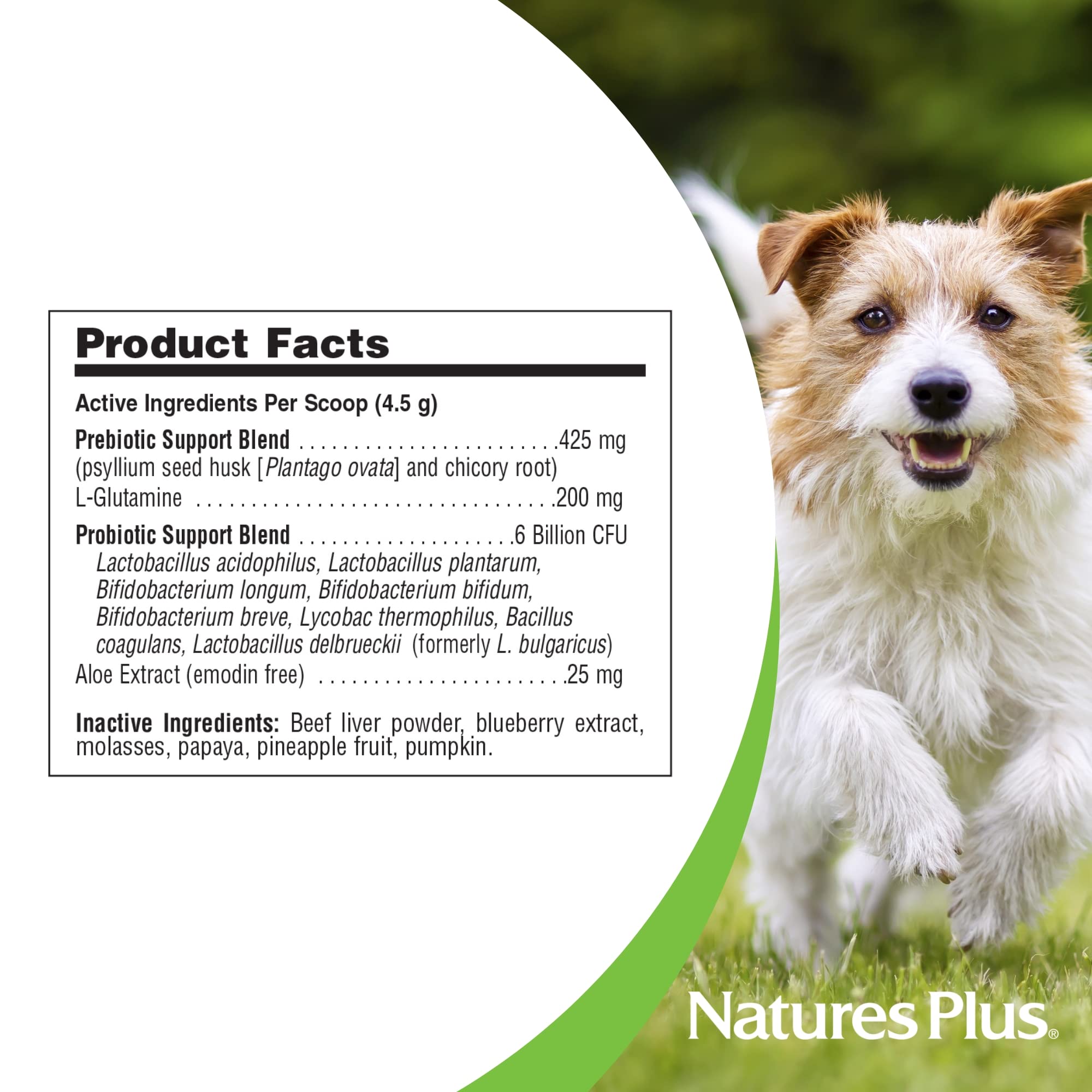Polvo ligero de FurBaby Probiotic, listo para espolvorear.
