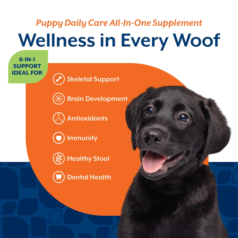 NaturVet All-In-One para cachorros: mejora cognitiva y aprendizaje.