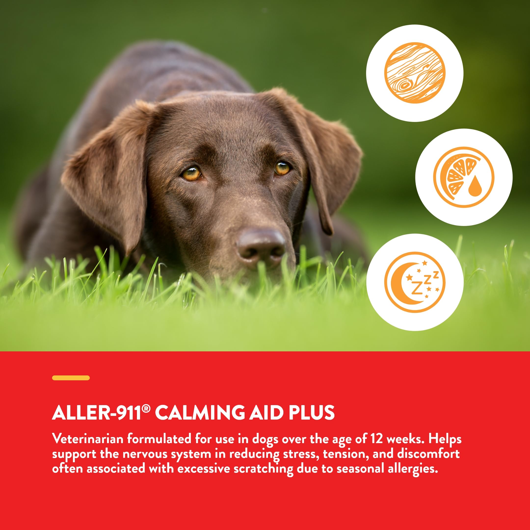 NaturVet Aller-911 etiqueta frontal, rápida identificación de beneficios para tu perro.