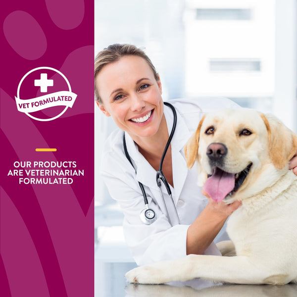 Perro activo gracias a NaturVet ArthriSoothe Gold, apoyo diario para movilidad