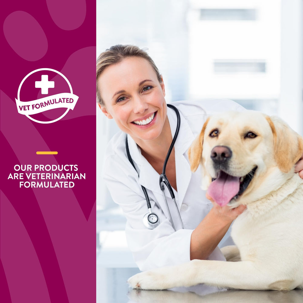 NaturVet ArthriSoothe-GOLD tabletas para perros y gatos, uso diario para apoyar articulaciones.