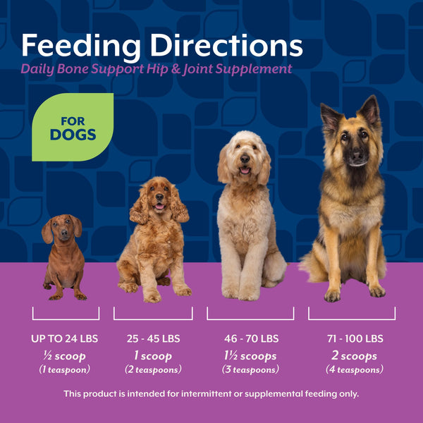 NaturVet Calcio y Fósforo para perros: complemento suave para la alimentación diaria