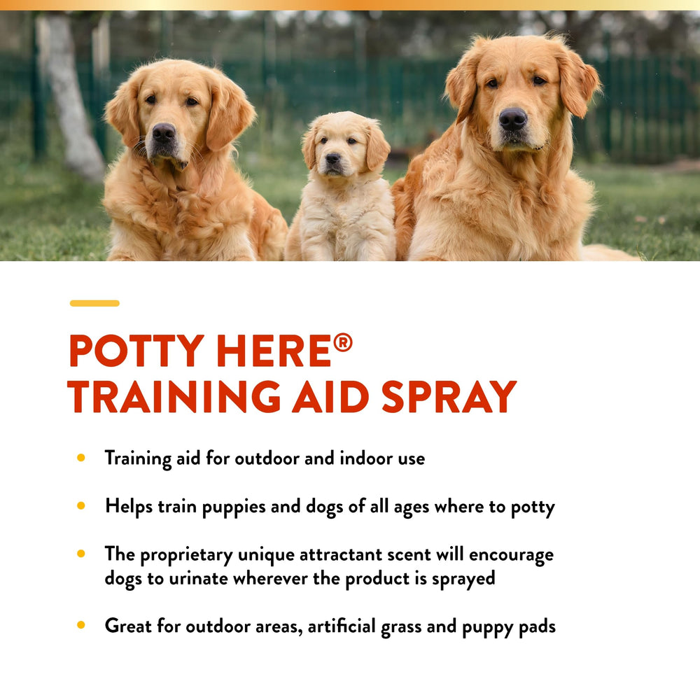 NaturVet césped artificial y tapetes listos para rociar.