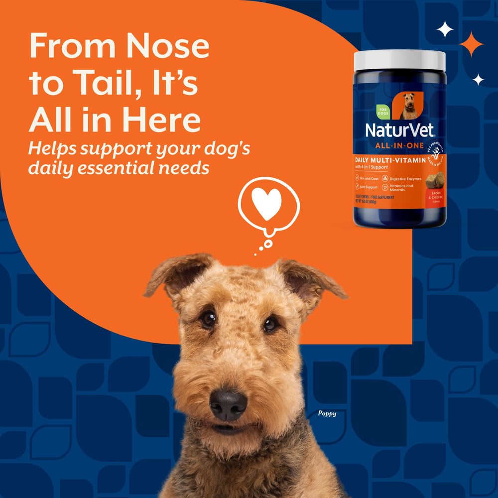 NaturVet digestivo: enzimas y probióticos en bocado suave para digestión