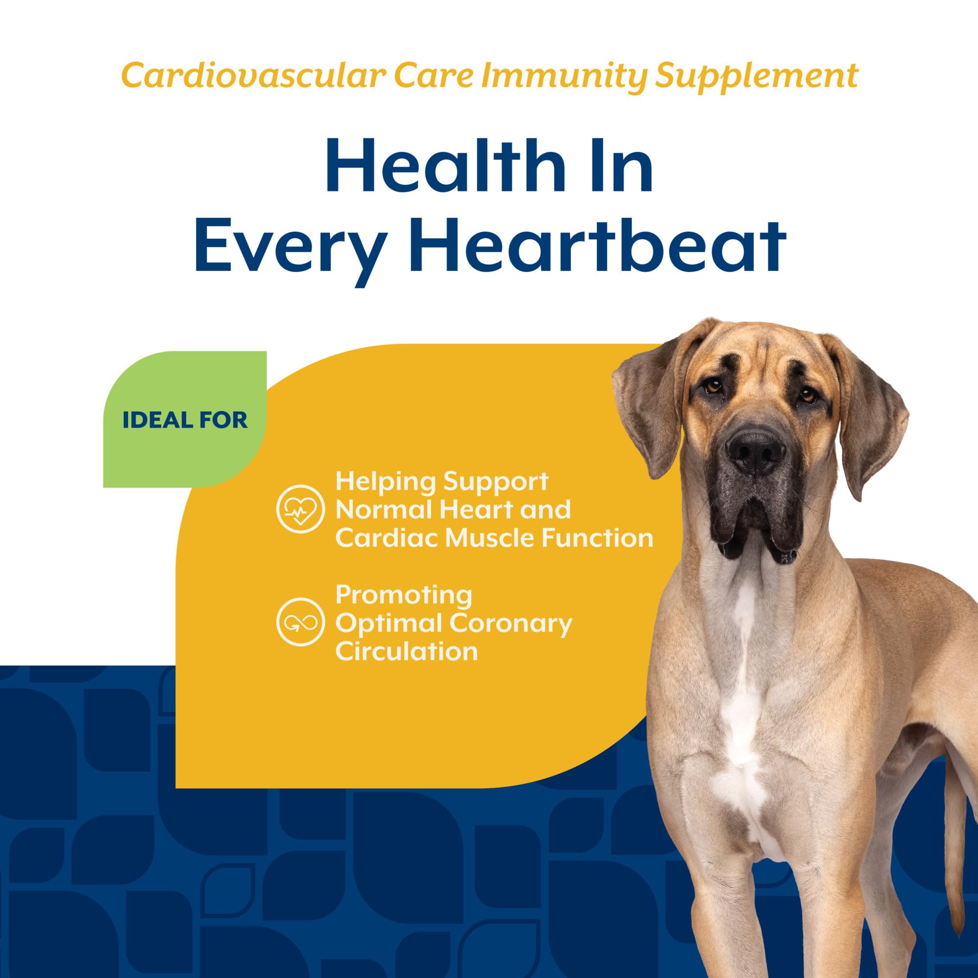 Dueño administra masticables NaturVet Cardiovascular a un perro activo.