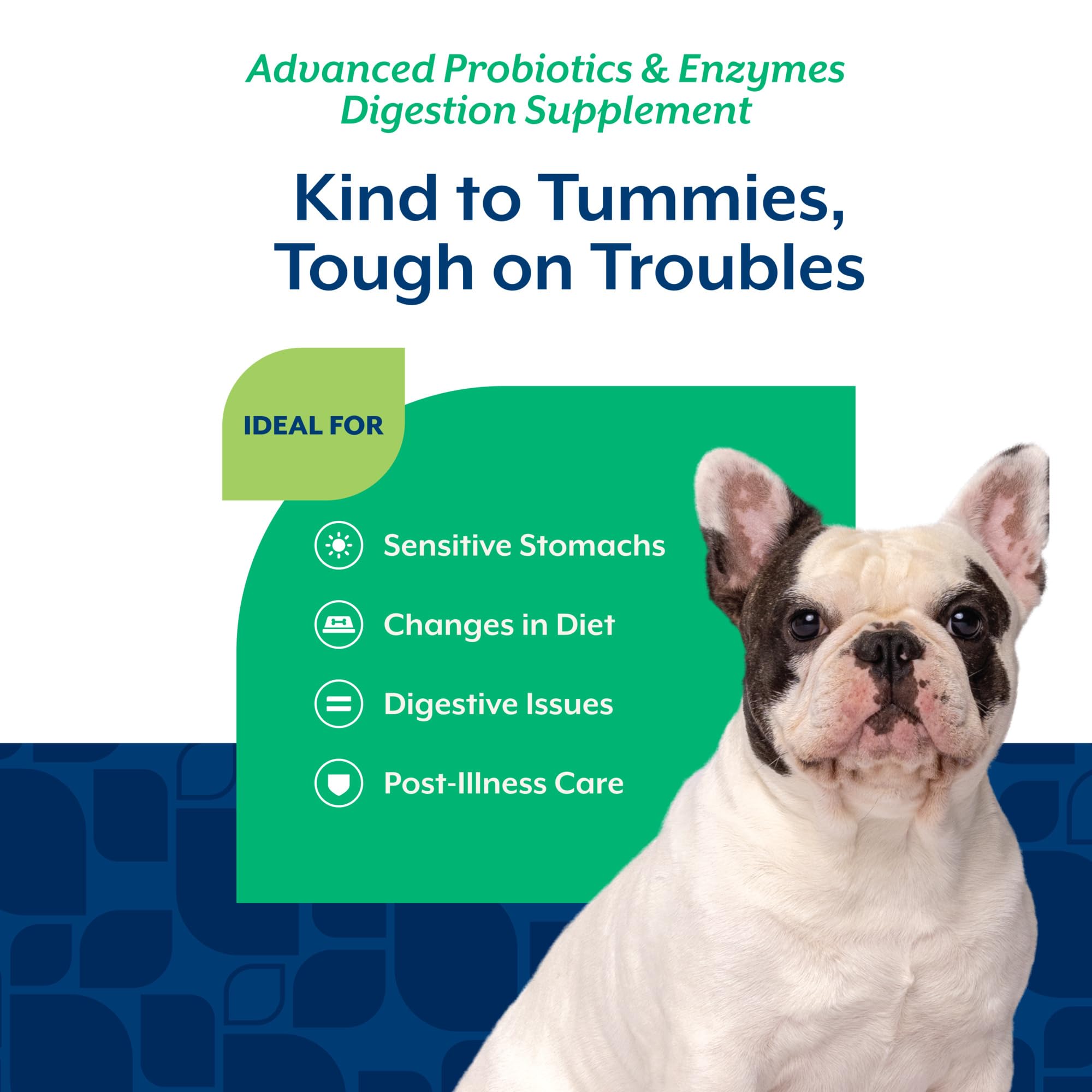 NaturVet equilibrio estomacal para perro: ayuda potencial durante la digestión.