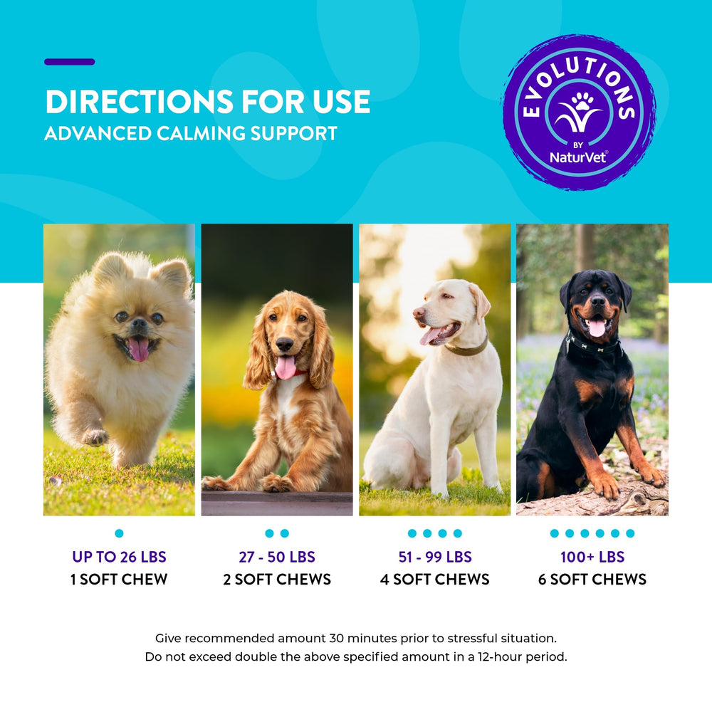 NaturVet Evolutions, apoyo neuromuscular suave para músculos y nervios.