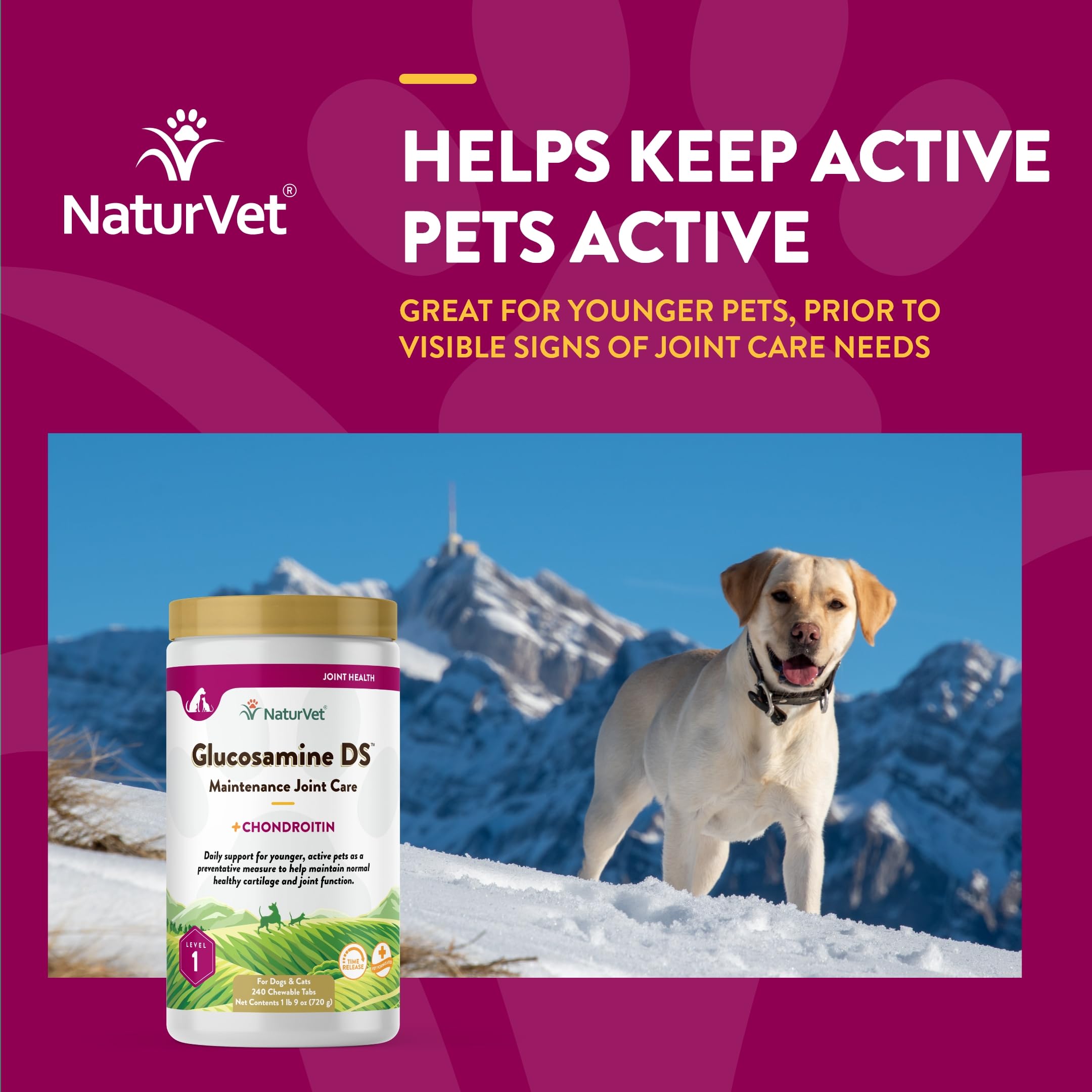 NaturVet Glucosamina DS Nivel 1, gato móvil, ayuda a mantener flexibilidad durante juego.
