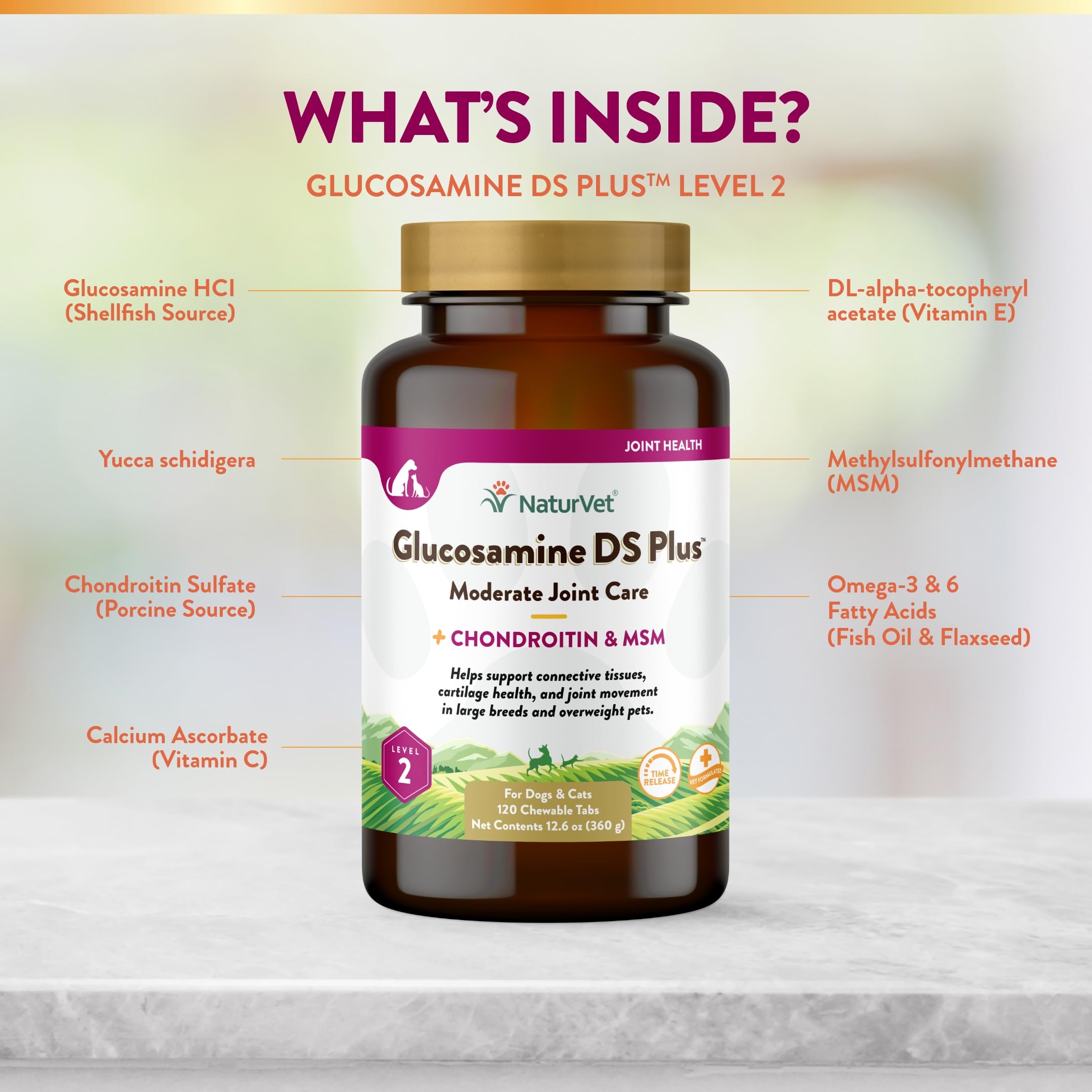 Antioxidantes incluidos en NaturVet Glucosamina DS Plus para protección celular.
