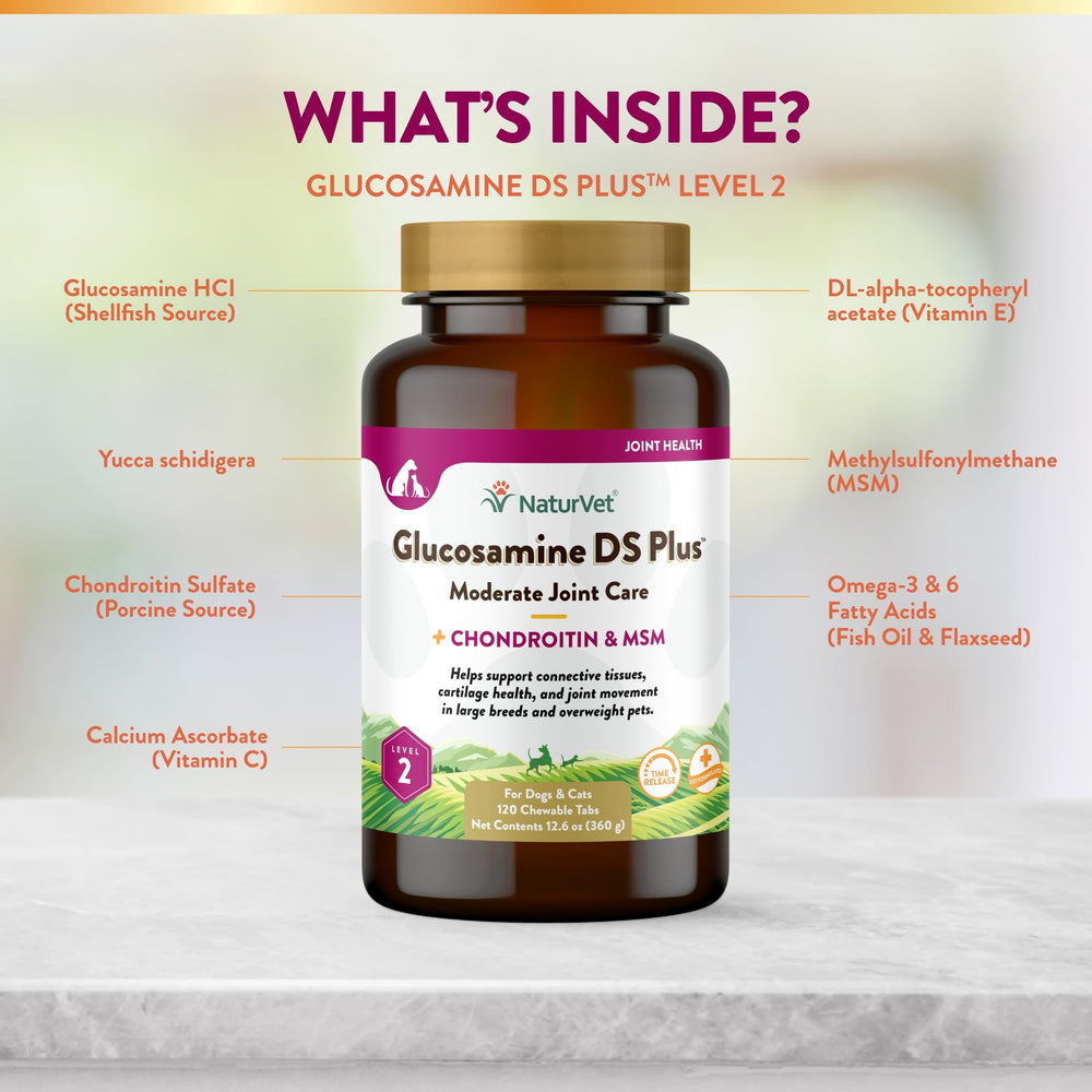 Antioxidantes incluidos en NaturVet Glucosamina DS Plus para protección celular.