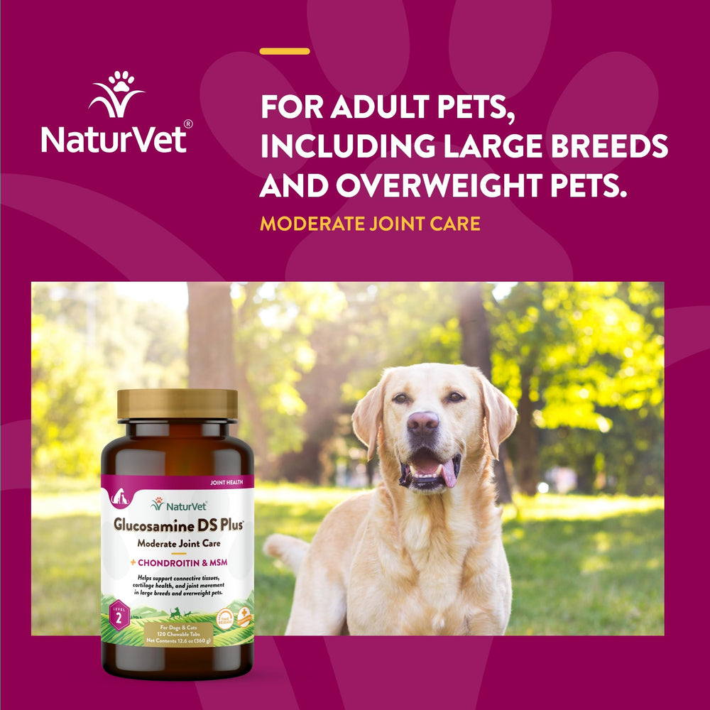 Ingrediente clave MSM y condroitina para articulaciones con NaturVet.