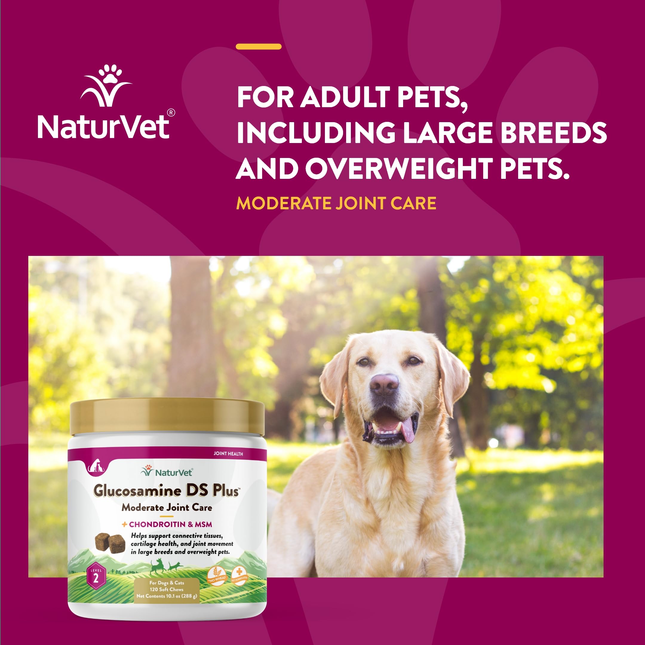 Mascota perro o gato usando NaturVet Glucosamina DS Plus diariamente.
