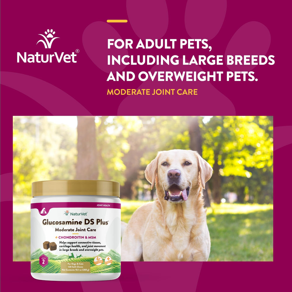 Mascota perro o gato usando NaturVet Glucosamina DS Plus diariamente.