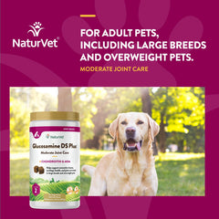 NaturVet Glucosamina DS Plus: tapa hermética para mantener la frescura entre tomas.