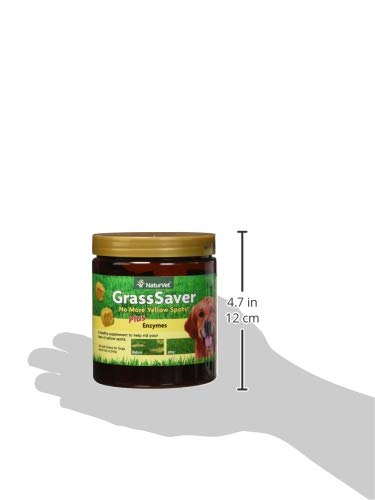 NaturVet GrassSaver: arándanos visibles en la fórmula para la nutrición diaria del perro.