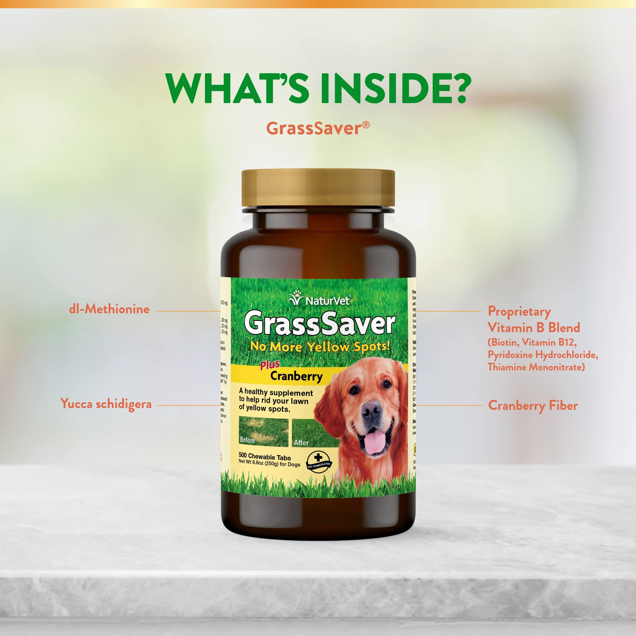 NaturVet GrassSaver: perro en césped para demostrar uso del suplemento.