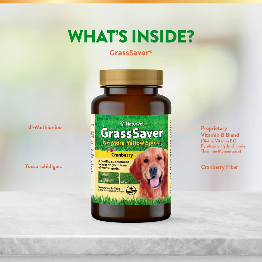 NaturVet GrassSaver: perro en césped para demostrar uso del suplemento.