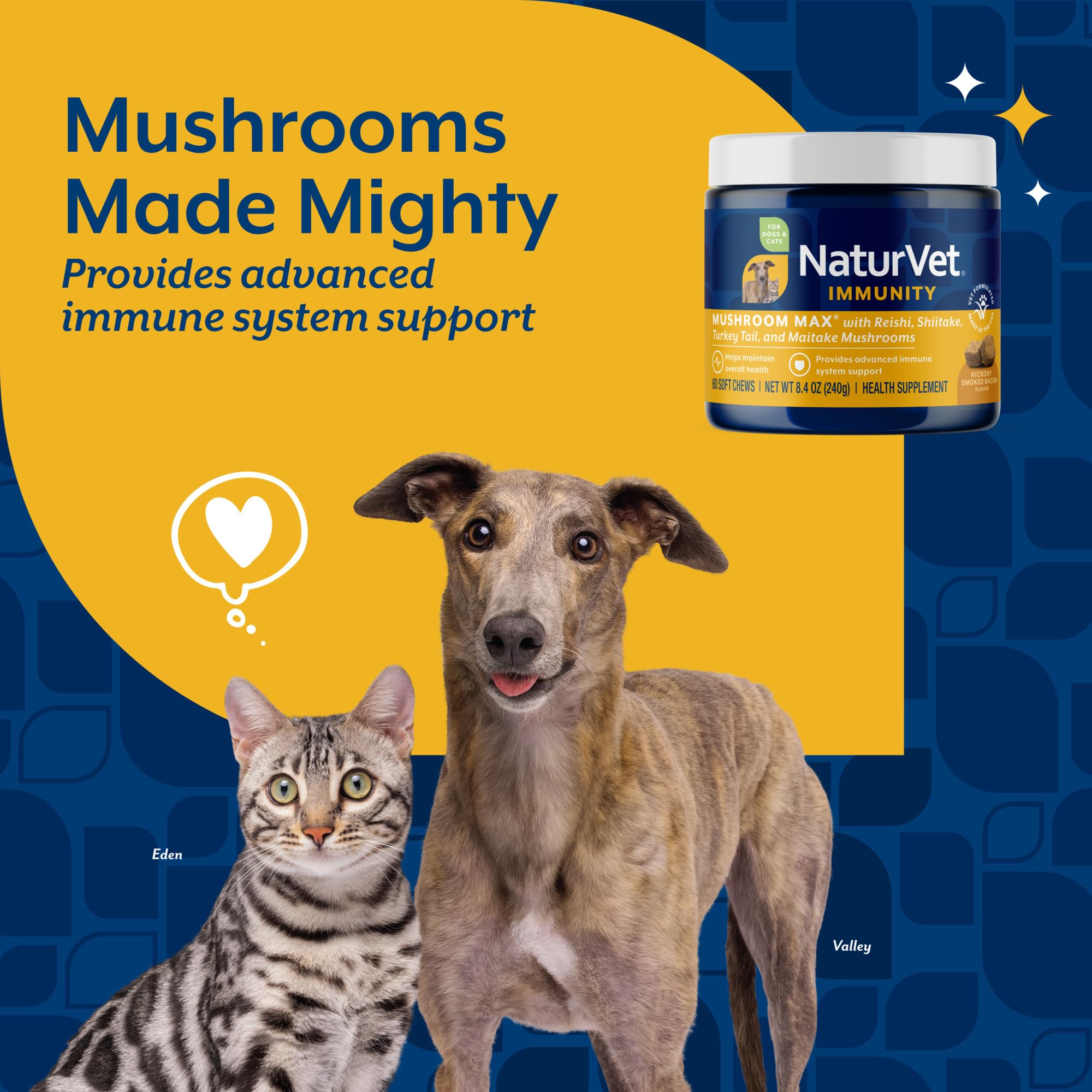 NaturVet Mushroom Max ayuda a mantener la energía y la actividad diaria.
