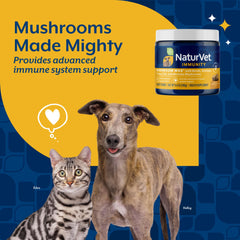 NaturVet Mushroom Max ayuda a mantener la energía y la actividad diaria.