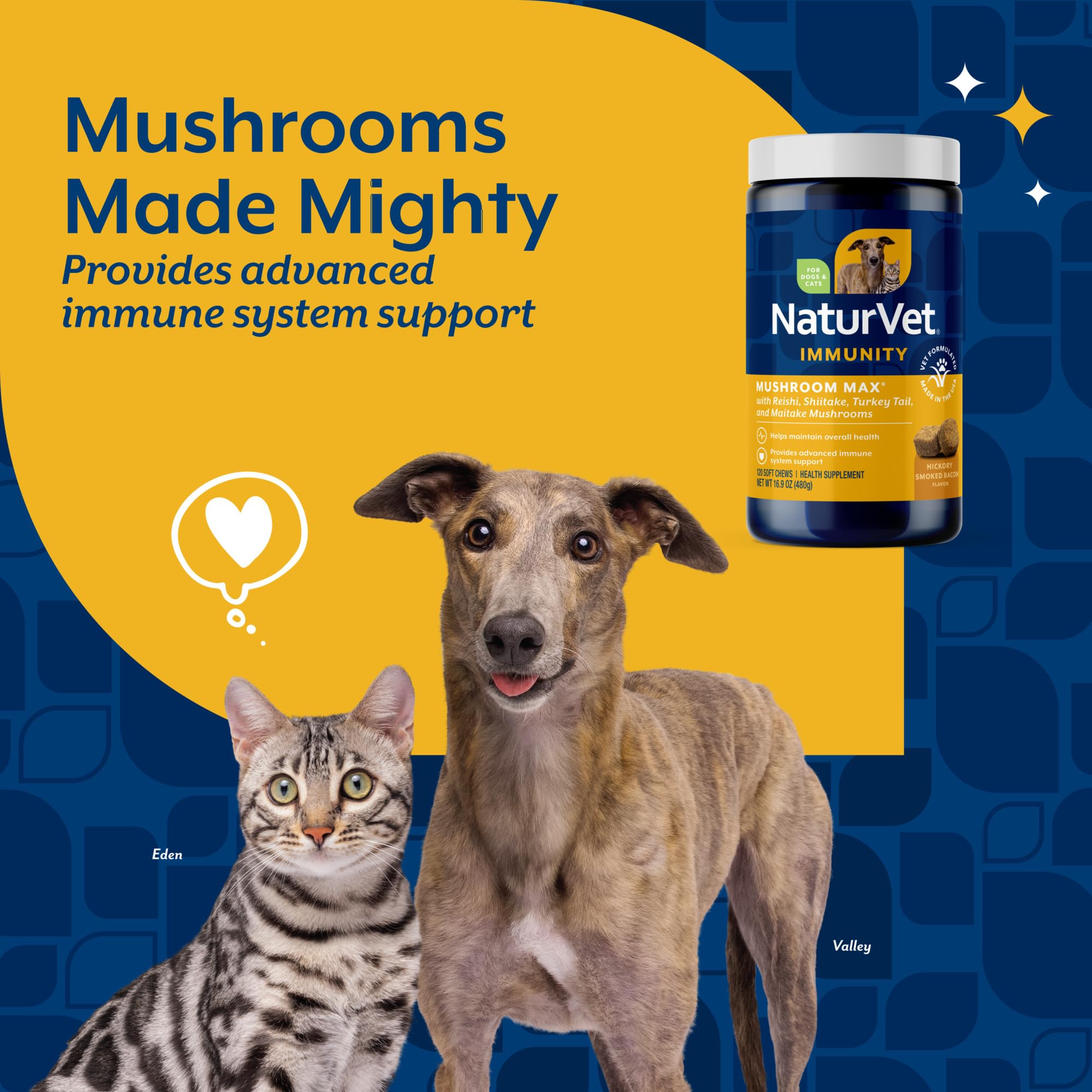 NaturVet Mushroom Max, cápsulas, suplemento nutritivo para perros