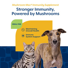 NaturVet Mushroom Max ofrece fórmula veterinaria segura para perros de todas las edades.