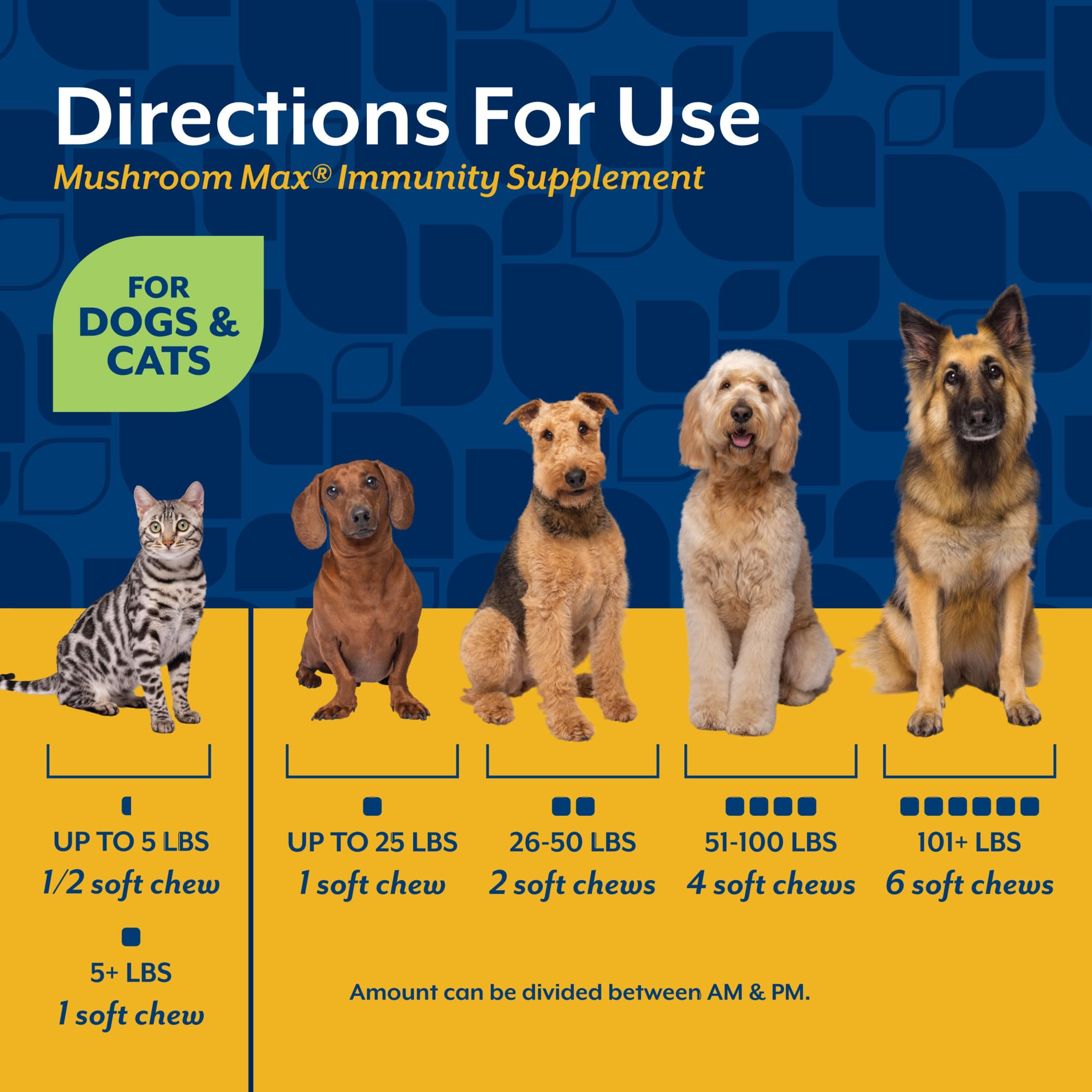 NaturVet Mushroom Max, formulado por veterinarios, respaldo profesional para tu mascota