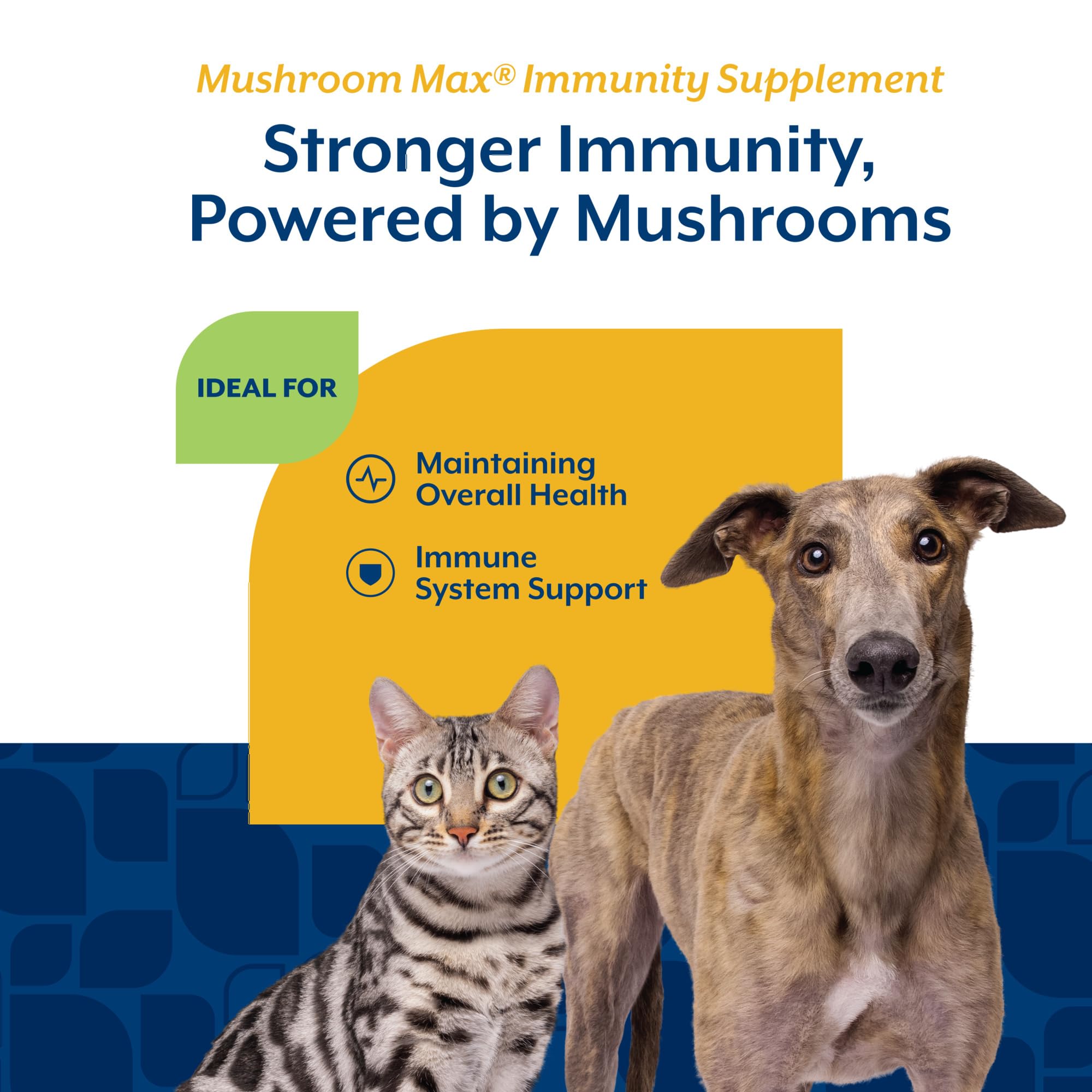 NaturVet Mushroom Max, medidor, dosificación fácil para perros