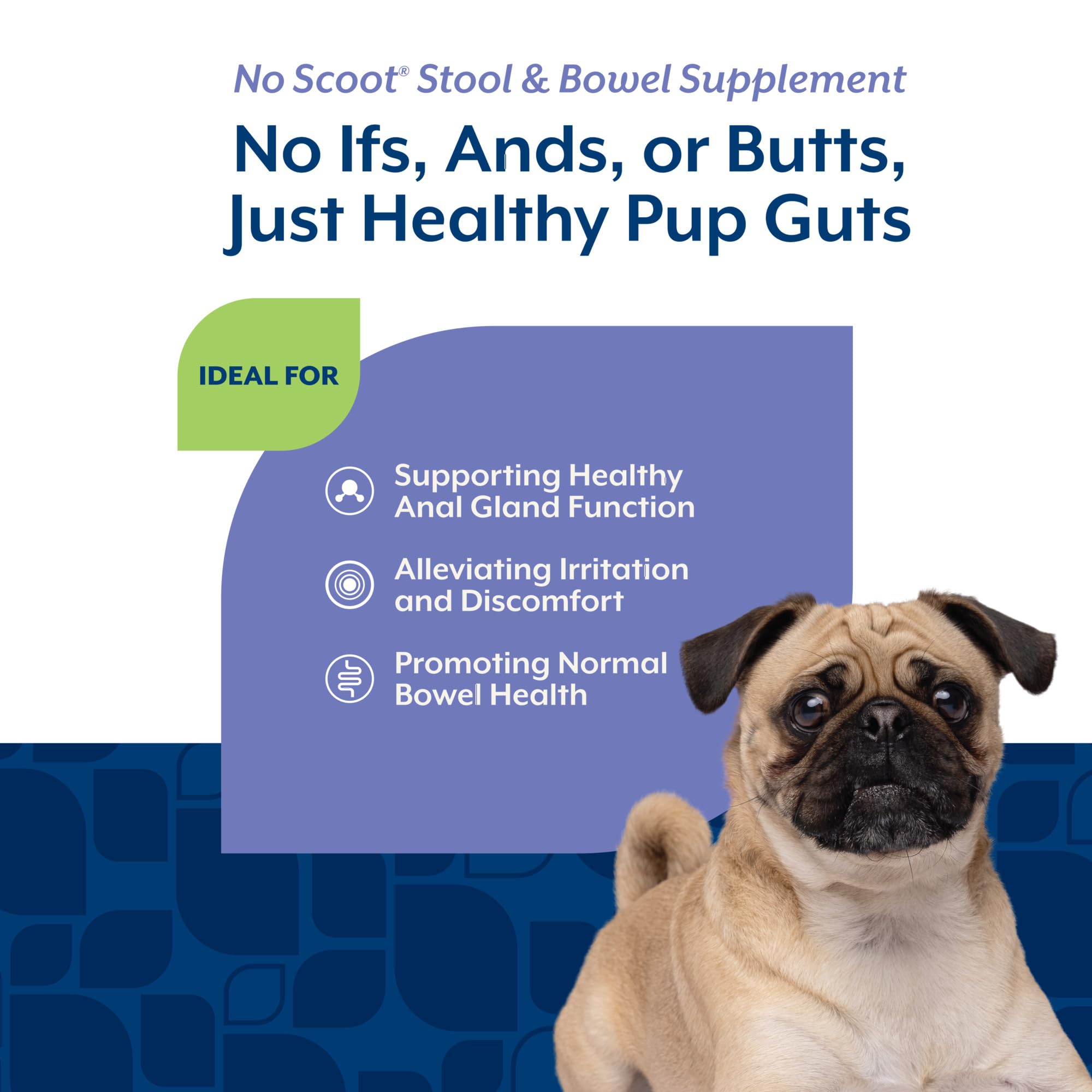 NaturVet No Scoot: cáscaras de psyllium para regular la digestión.