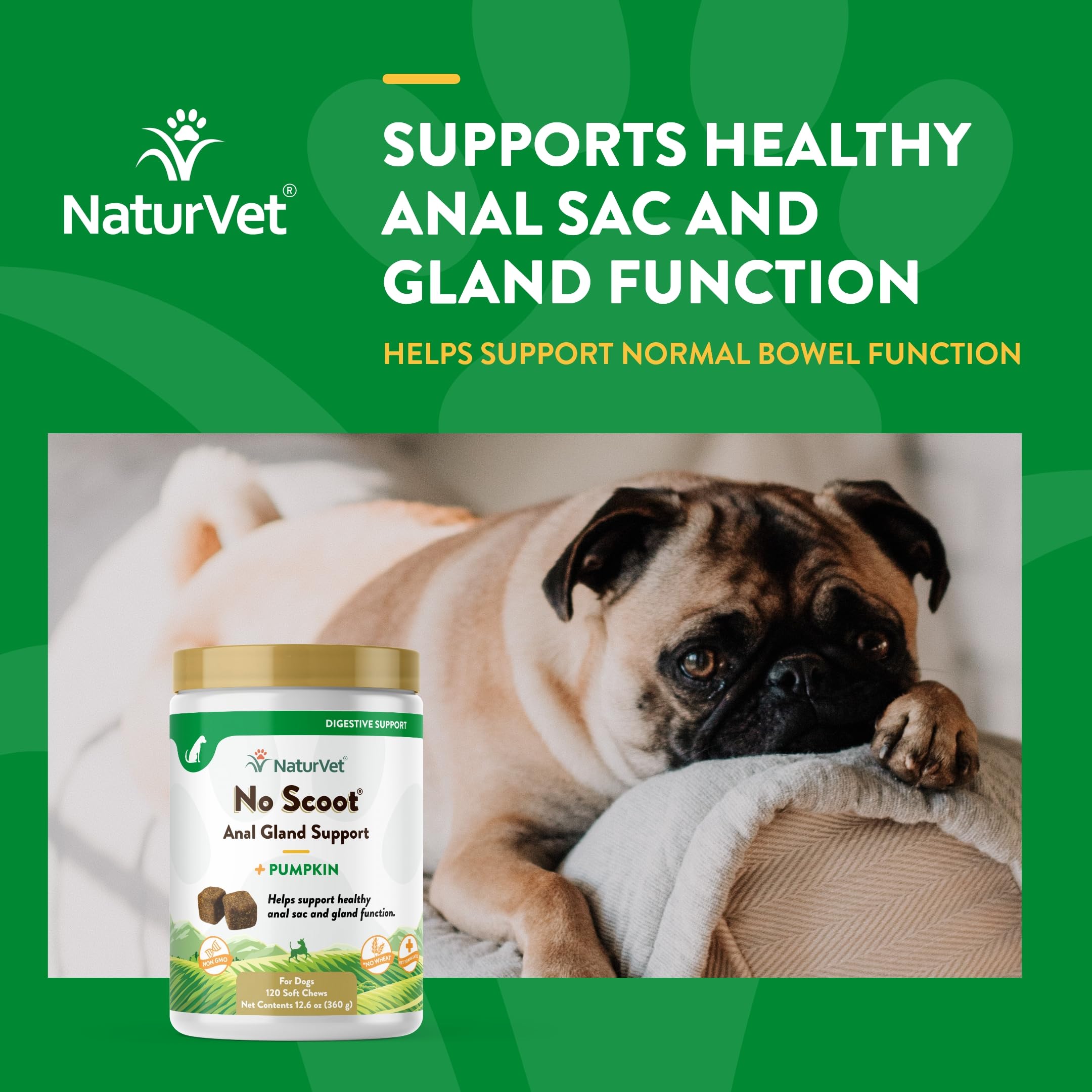 NaturVet No Scoot: cascarilla de psyllium para mayor fibra digestiva.
