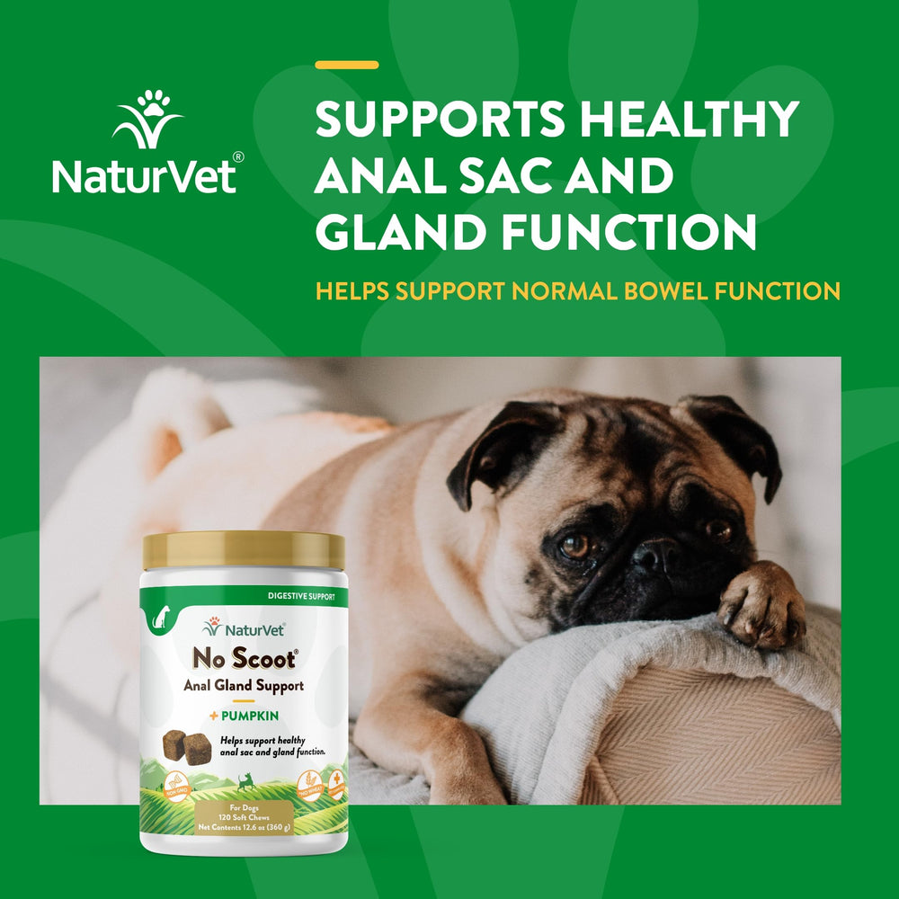 NaturVet No Scoot: cascarilla de psyllium para mayor fibra digestiva.